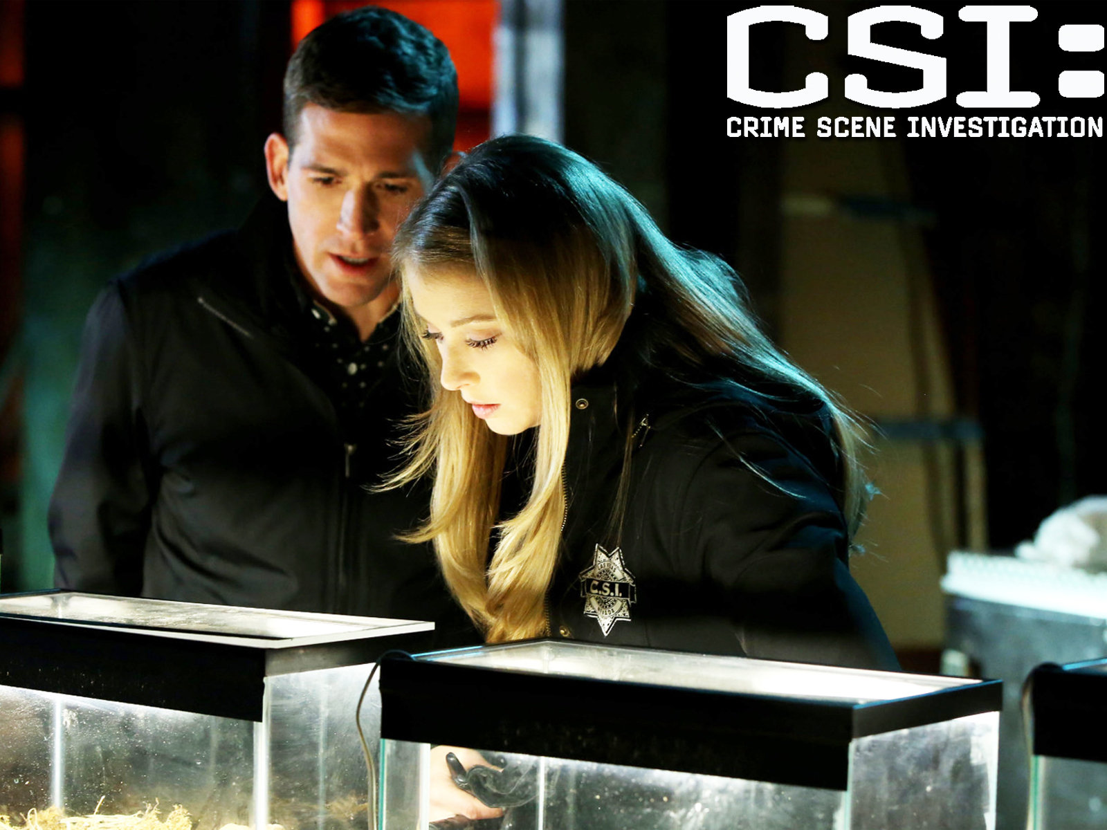 Prime Video: CSI: Crime Scene Investigation, Season 15CSI: Crime