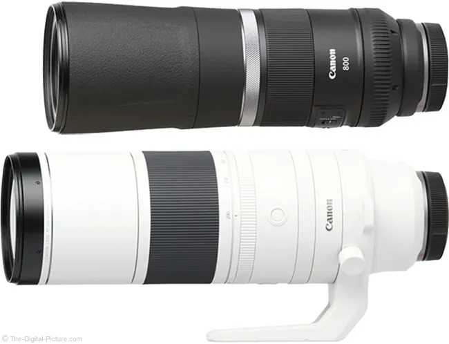 Canon RF 800mm F11 IS STM Lens Review