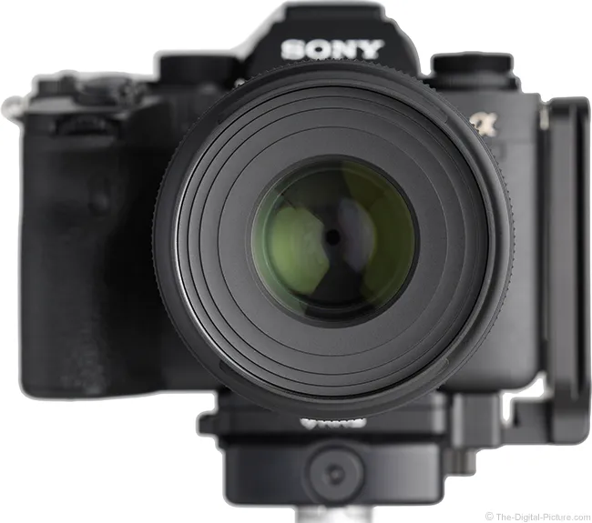 Tamron 90mm F/2.8 Di III Macro VXD Lens Review