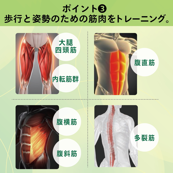 メディカラダ ボディ) ：Amway(日本アムウェイ) | amwaylive