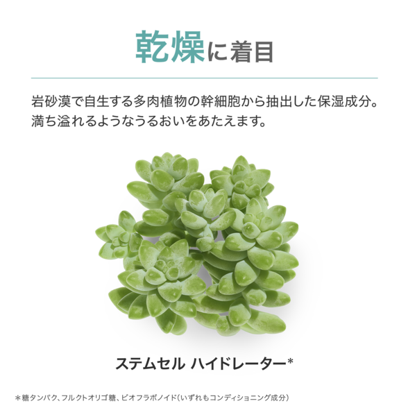 スキン NT ザ・セラム エッセンシャル) ：Amway(日本アムウェイ