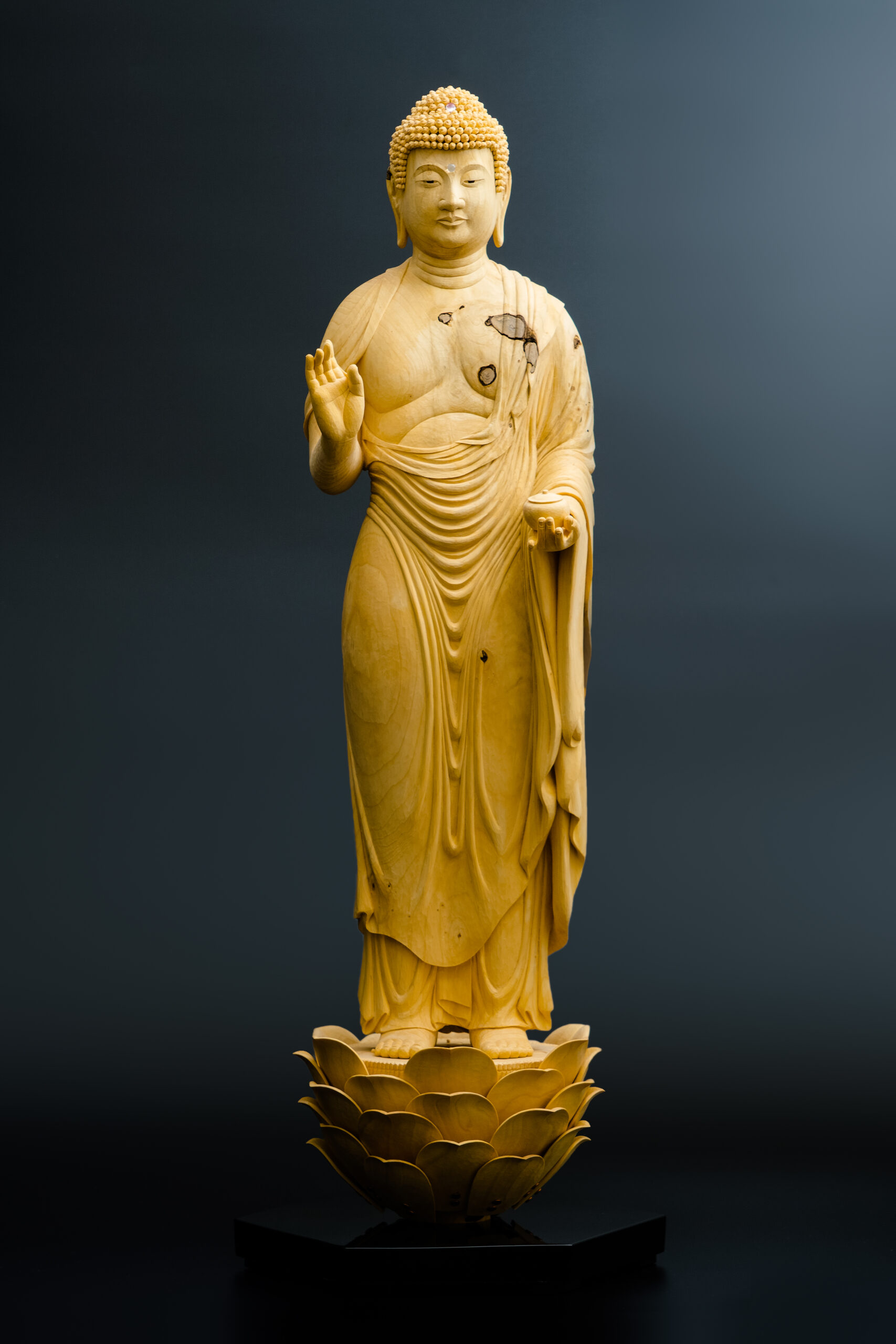 MiGoTo 『仏の姿:The figure of Buddha』