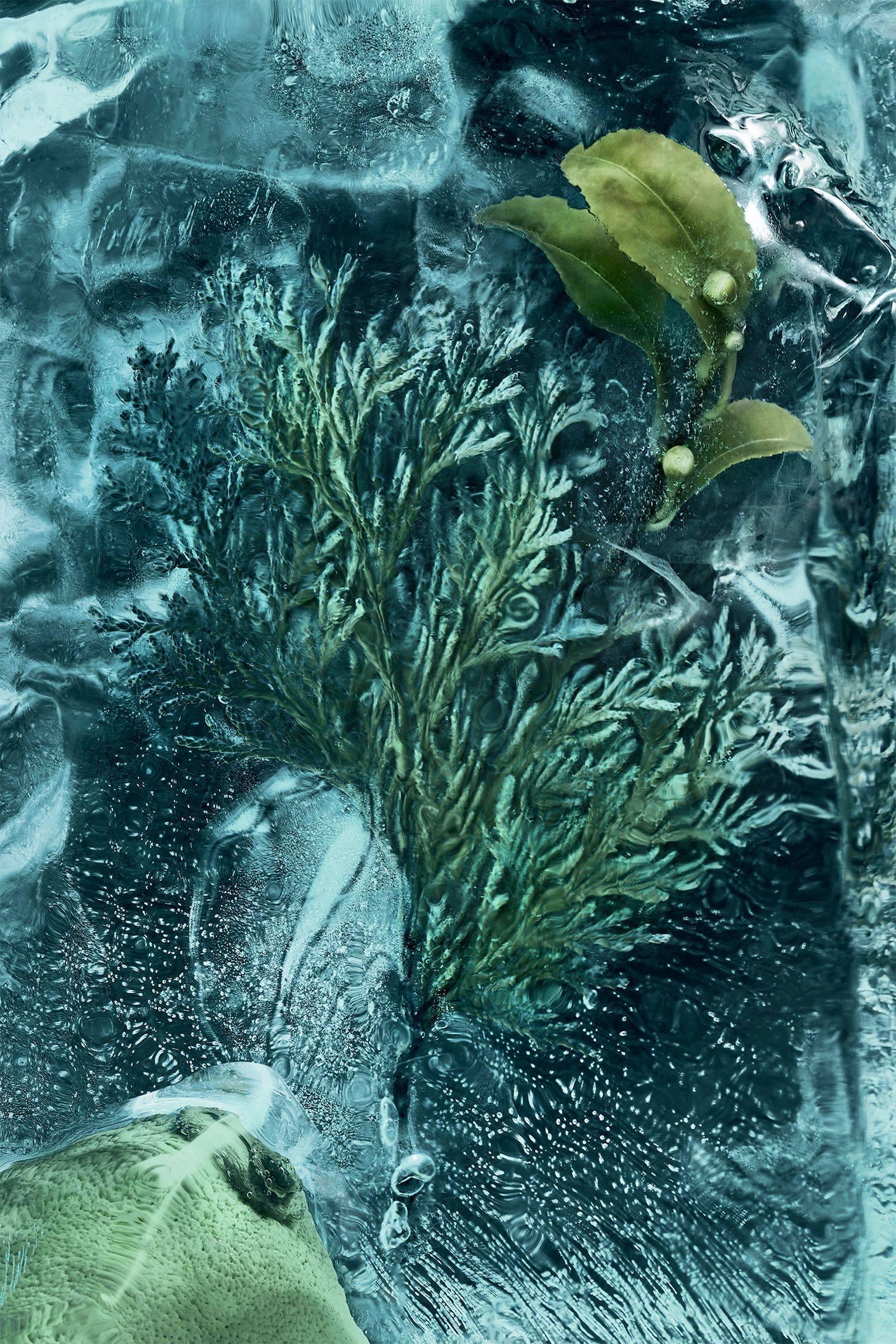 Black La Cordée 6.7 Fl.Oz. - Perfumes for Men | Moncler US