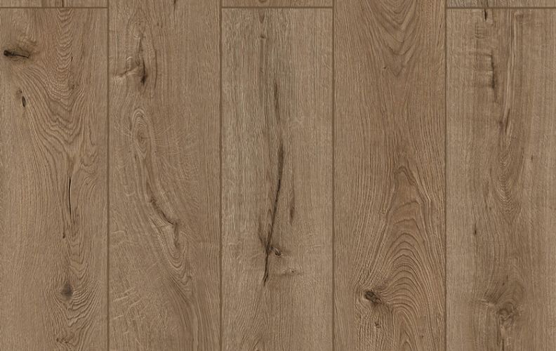 Shop Lions Floor Lone Star Spirit XL Forgotten Bark LI-TS205 SPC