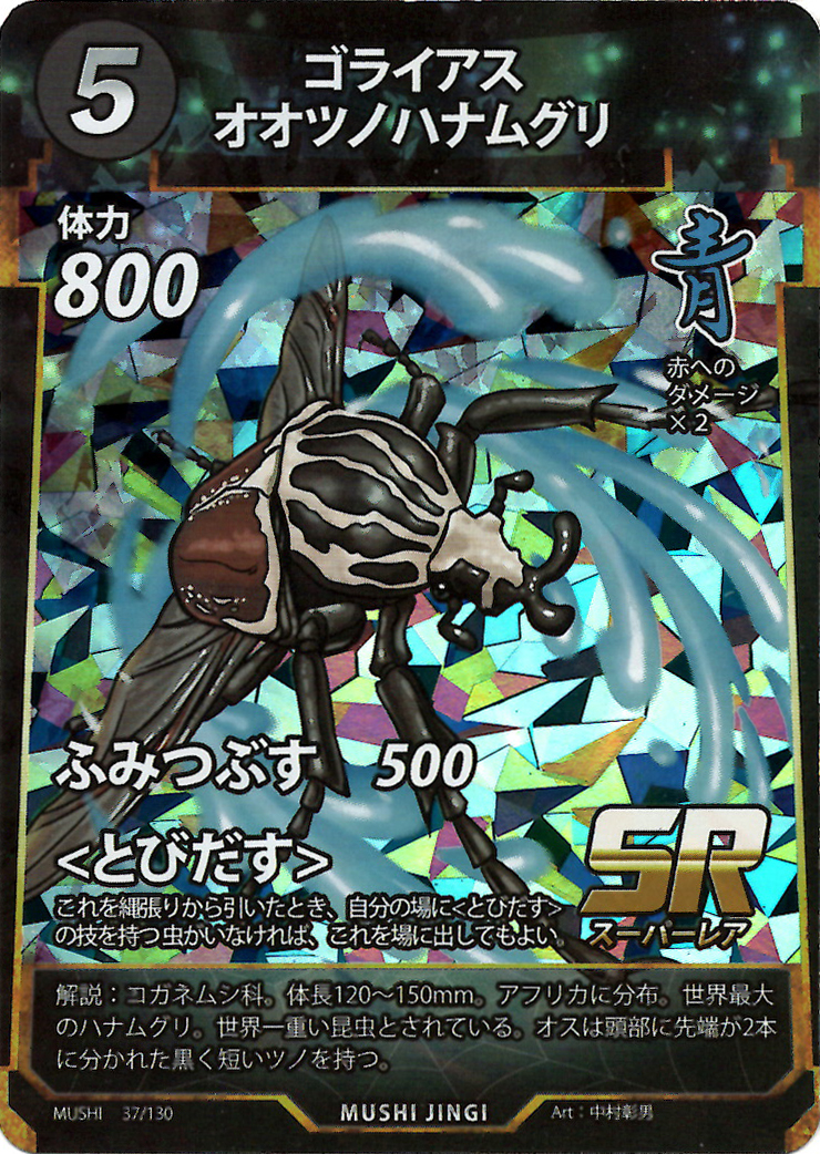 蟲神器】ゴライアスオオツノハナムグリ(SR)の詳細【昆虫カード図鑑】
