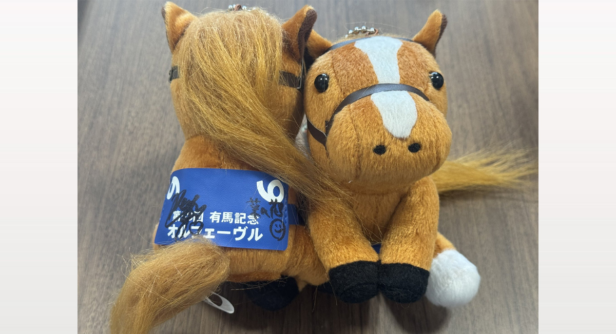 2024.12.22.有馬記念（グランプリ）】アイドルホースとアンプ型バック