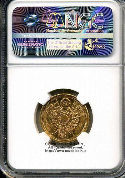 imgh489_1_400x.jpg?v=1689654502