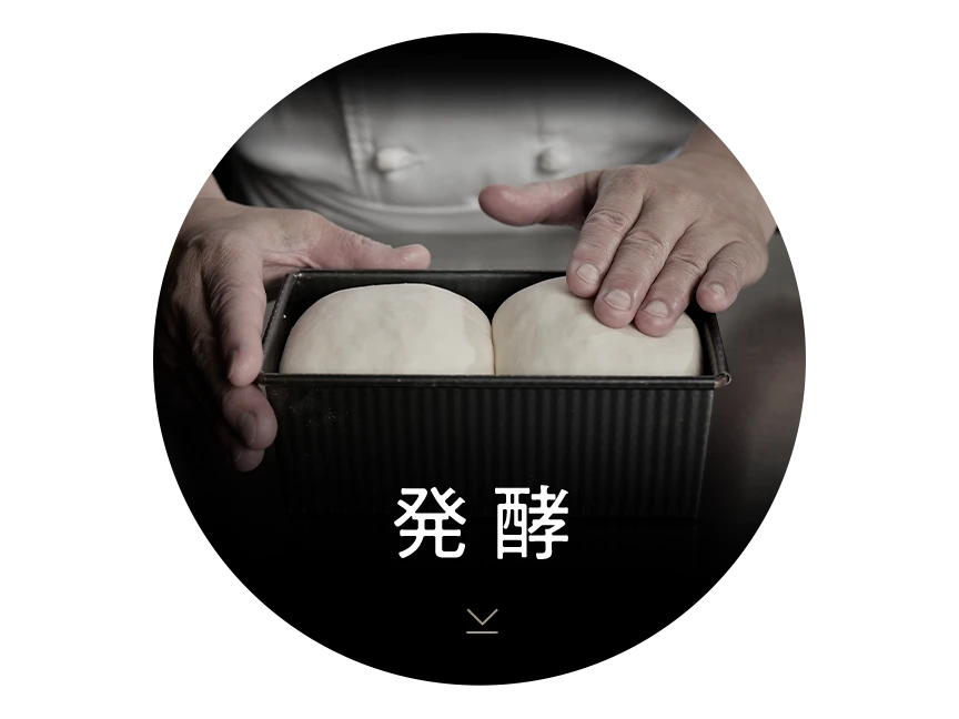 概要 ホームベーカリー SD-MT4 | ホームベーカリー | Panasonic