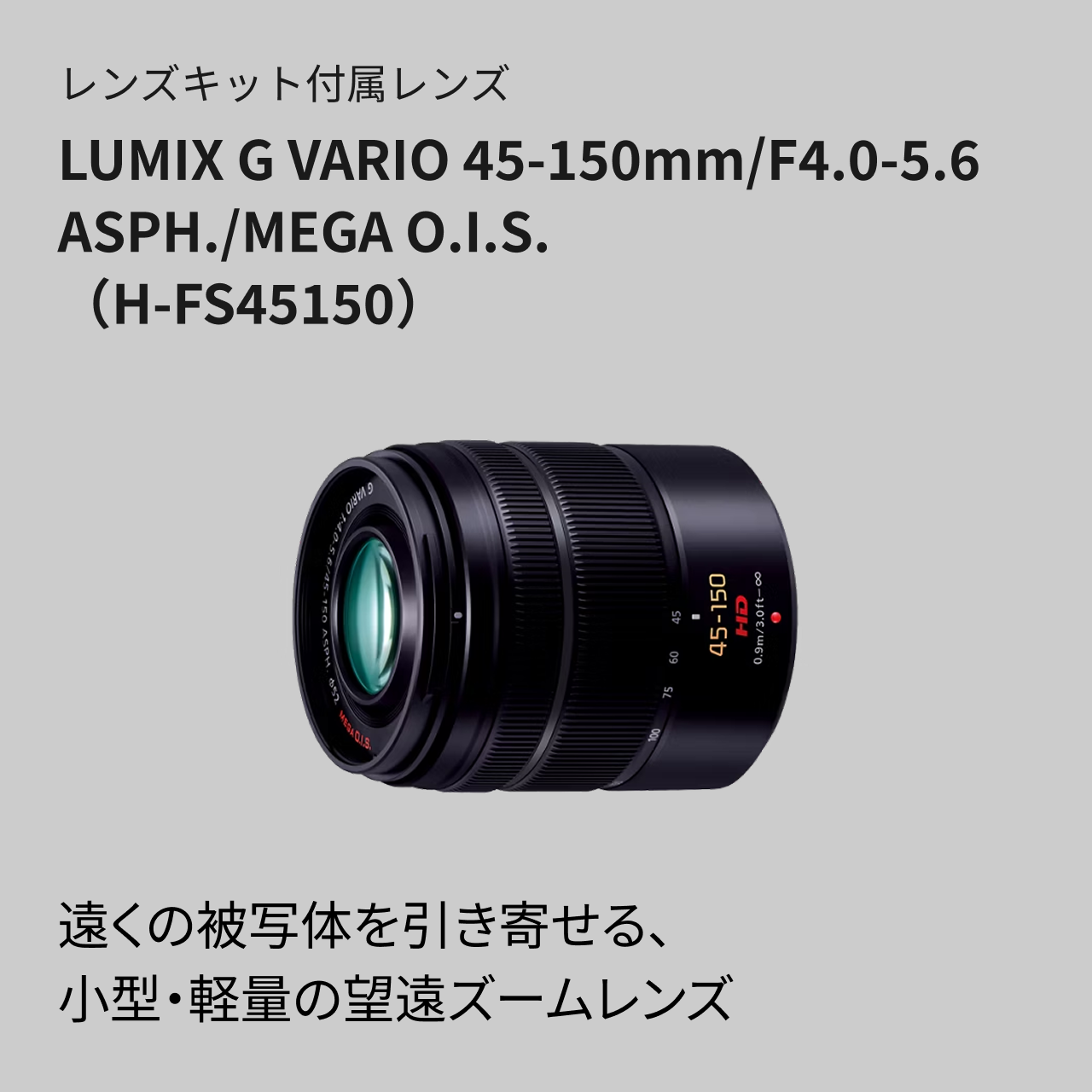 購入 デジタル一眼カメラ/レンズキット DC-G100DW | LUMIX（ルミックス