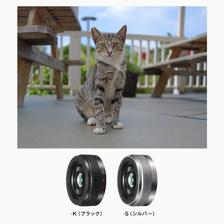 概要 デジタル一眼カメラ用交換レンズ H-H020A | LUMIX（ルミックス
