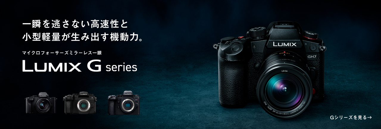 カテゴリー概要 | デジタルカメラ（ルミックス） | Panasonic