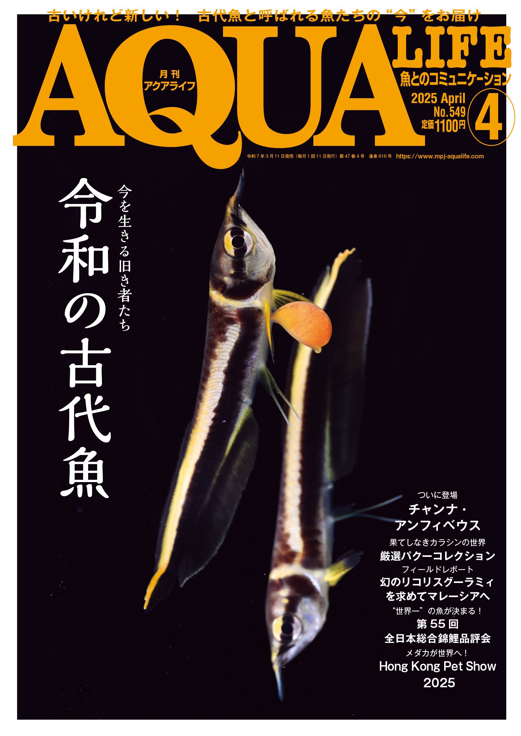 アクアプランツ AQUA PLANTS No.1～No.12 アクアライフ増刊 【公式通販】