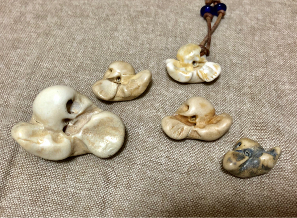 館山市 イルカの耳骨化石 布袋石 幸運を呼ぶ？ イルカの耳骨 館山湾