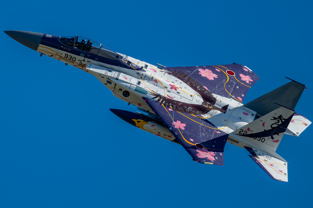 2024 小松基地航空祭 306飛行隊 記念塗装機 by nobu1200 （ID