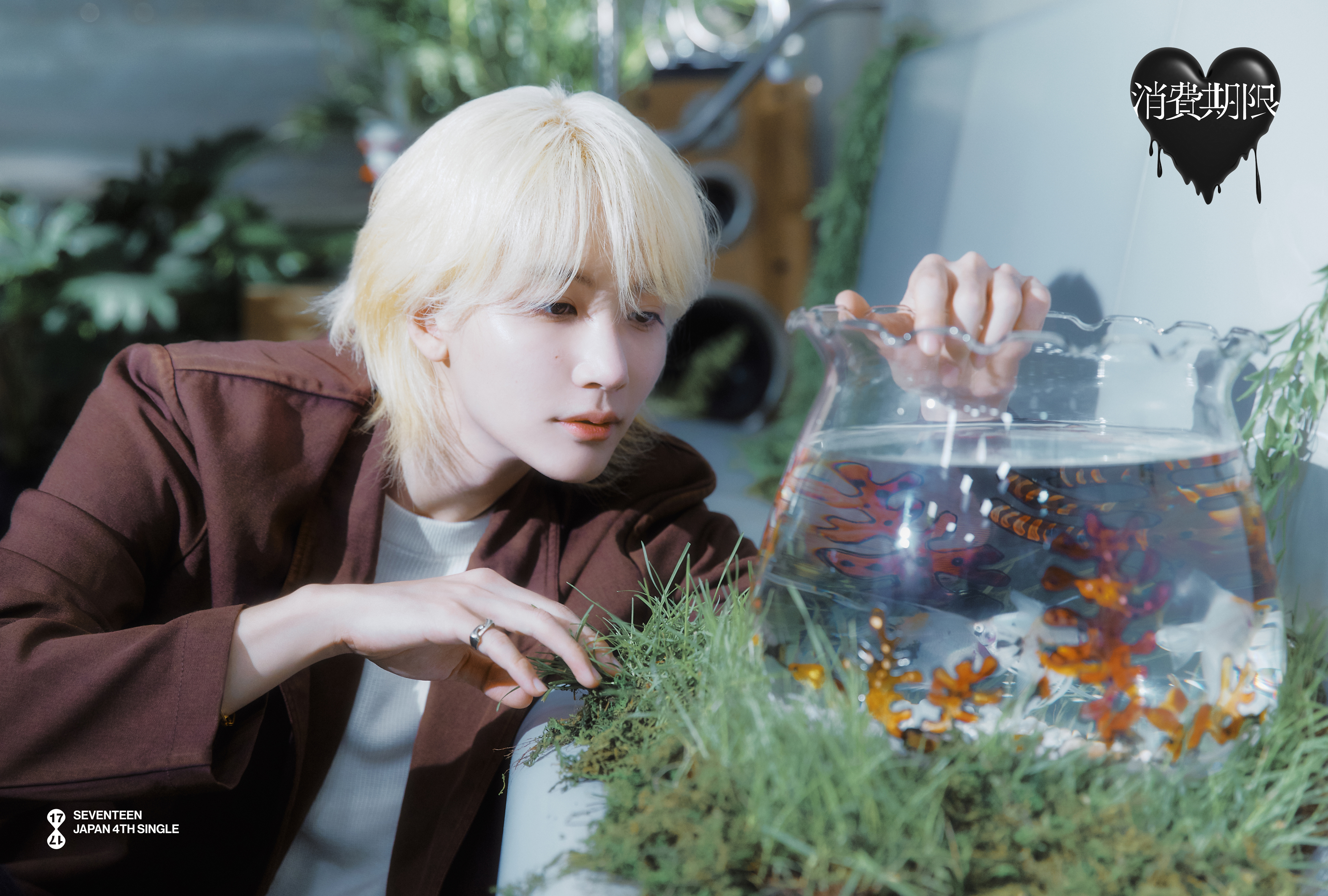 Weverse SEVENTEEN Image - SEVENTEEN JAPAN 4TH SINGLE 「消費期限