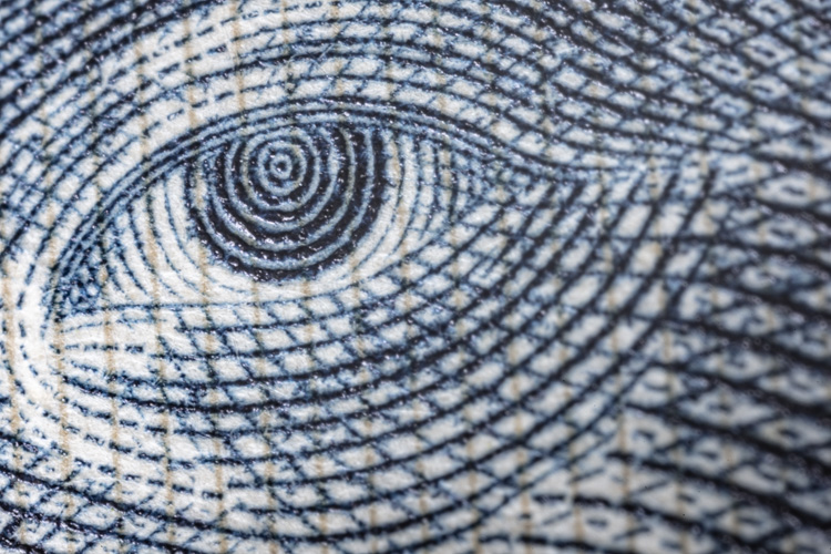 超拡大の世界 CANON MP-E65mm F2.8 1-5×マクロフォト | PicoN!