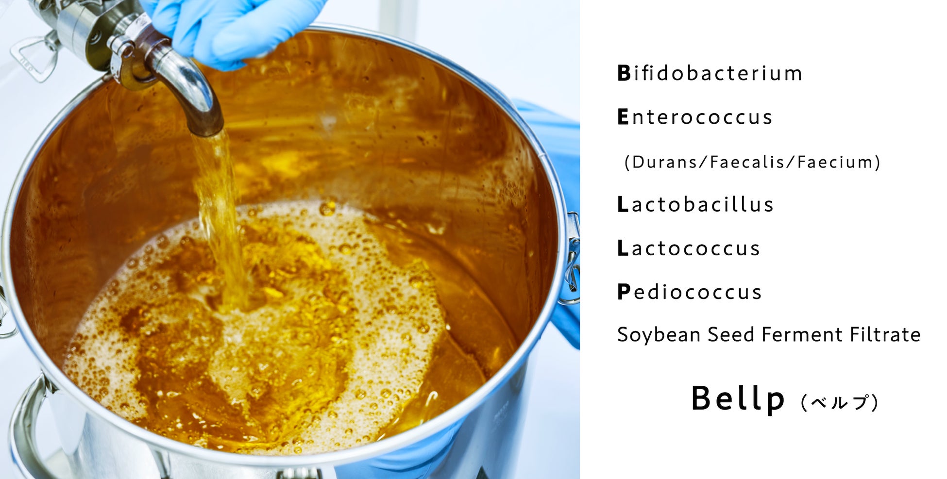 KINS】リニューアルしたヒーロープロダクト「BOOSTER（ブースター