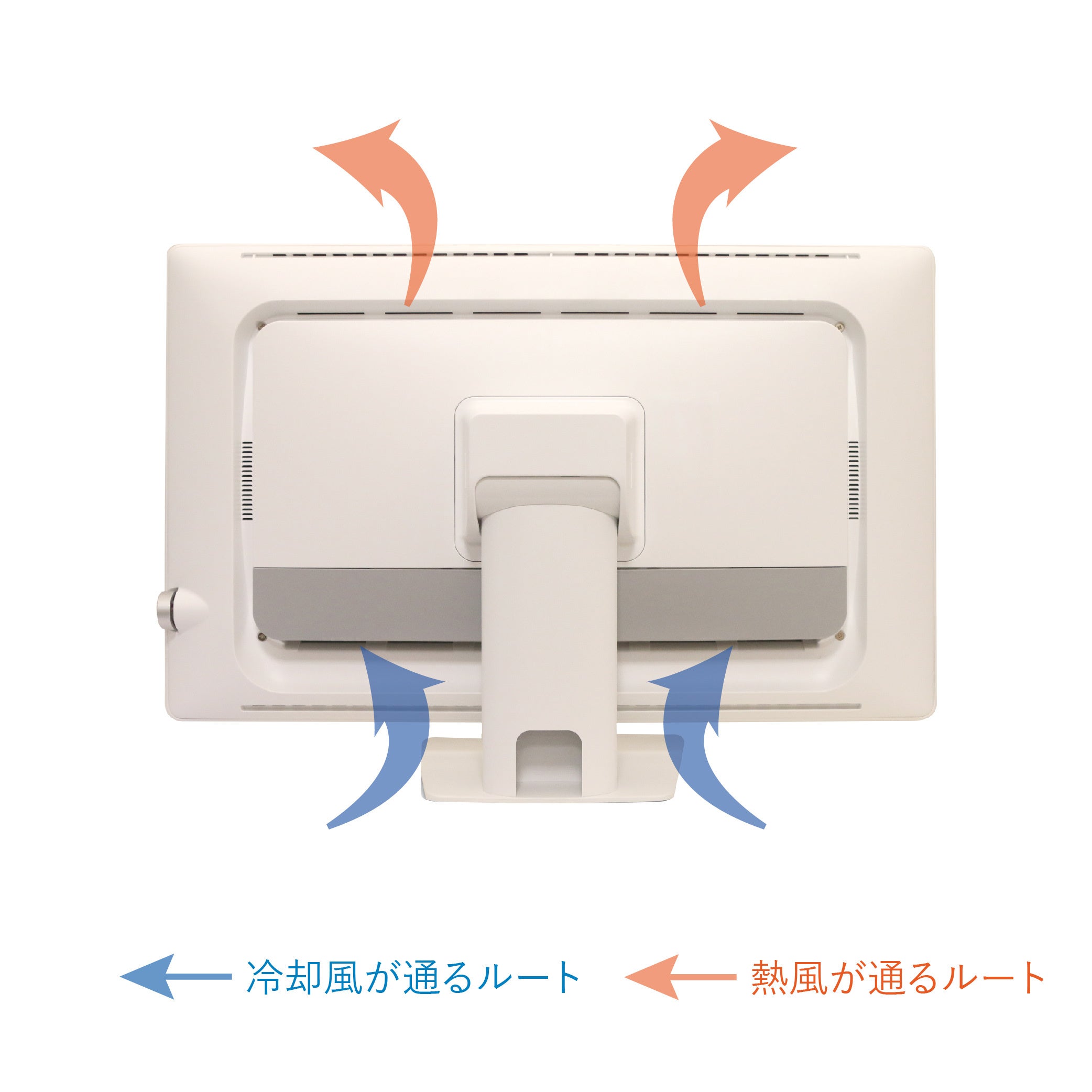 AOPENブランドより医療画像表示用モニター 4機種発売！医療現場で求め