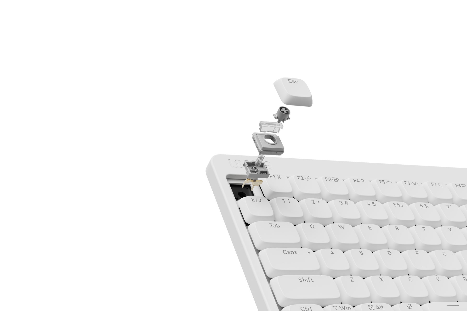 Lofreeの海外初イベント：Lofree Talk ＆ Meet 2025 Japan開催、話題の