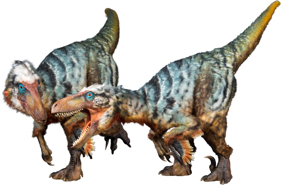 頂上決戦! ティラノVSギガノト 渋谷初上陸！世界を驚嘆させた体験型