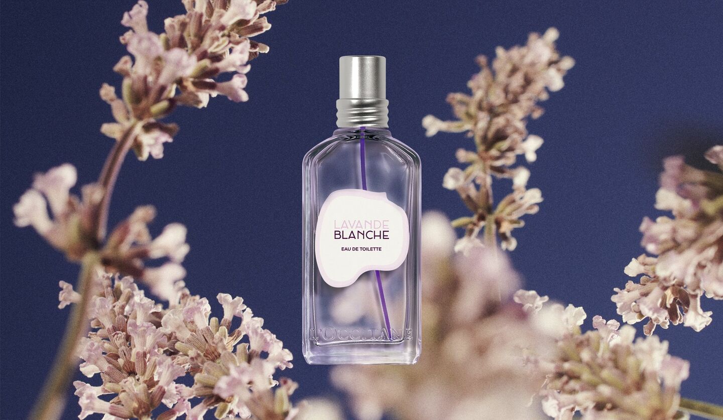 ロクシタンのラベンダーシリーズから新たな香り「ホワイトラベンダー