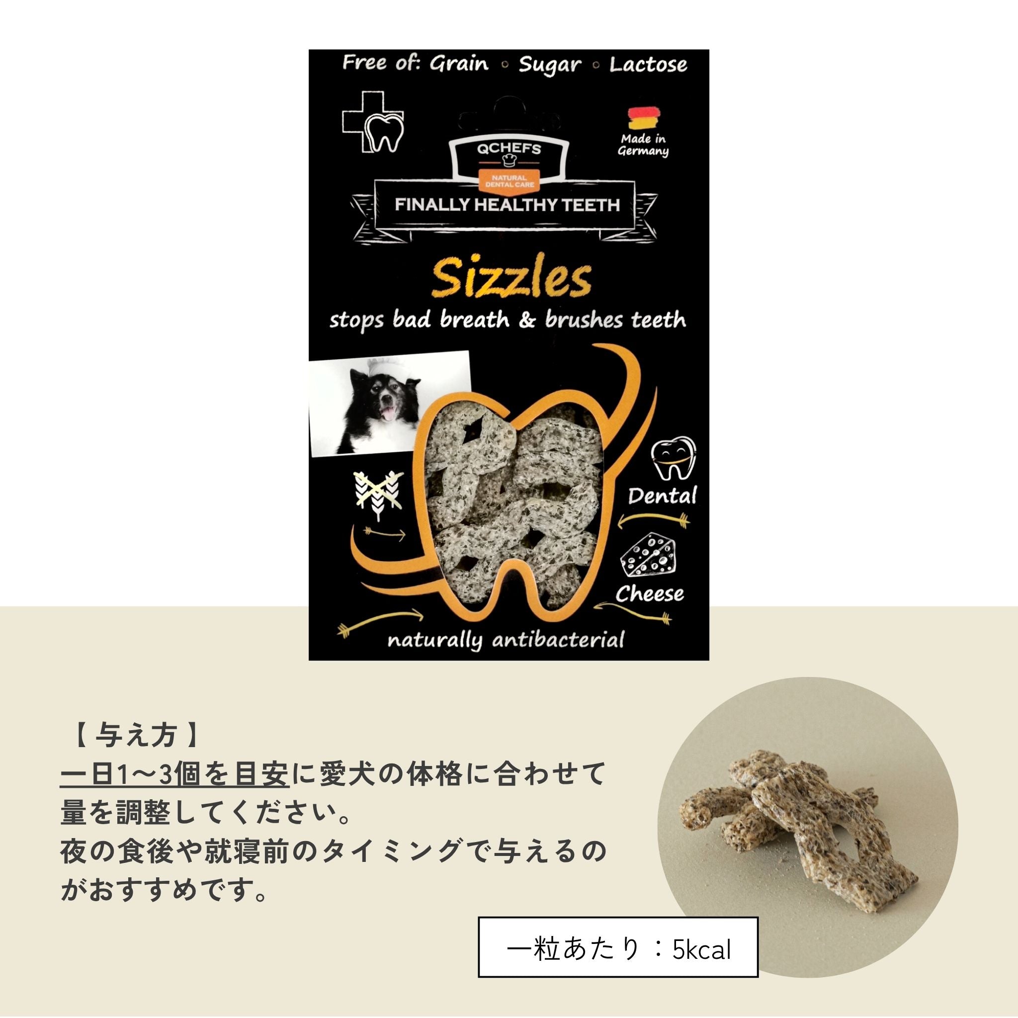 犬用デビューセット（Dental Charcoal）