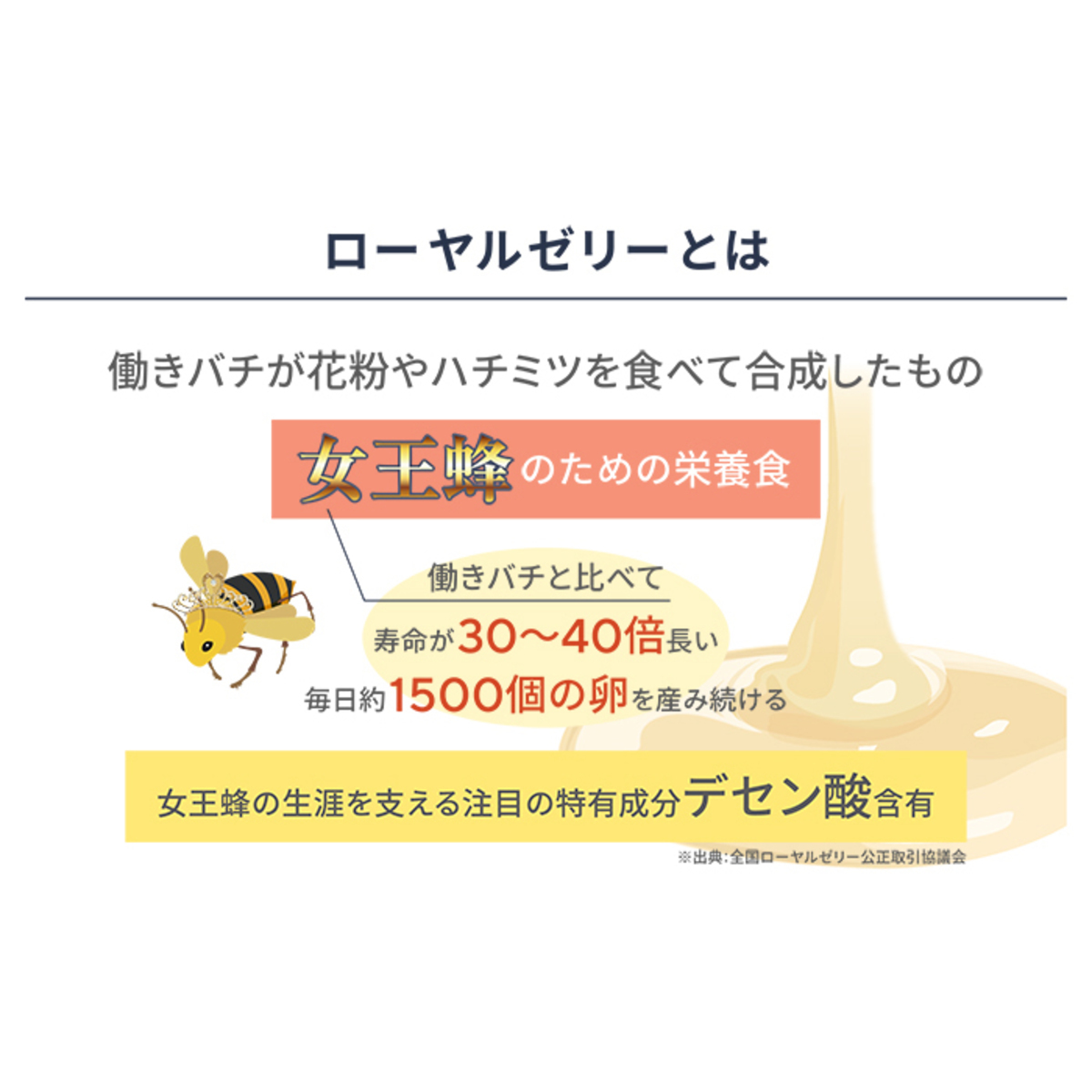 J's高麗ロイヤルショットIII 14本セット - QVC.jp