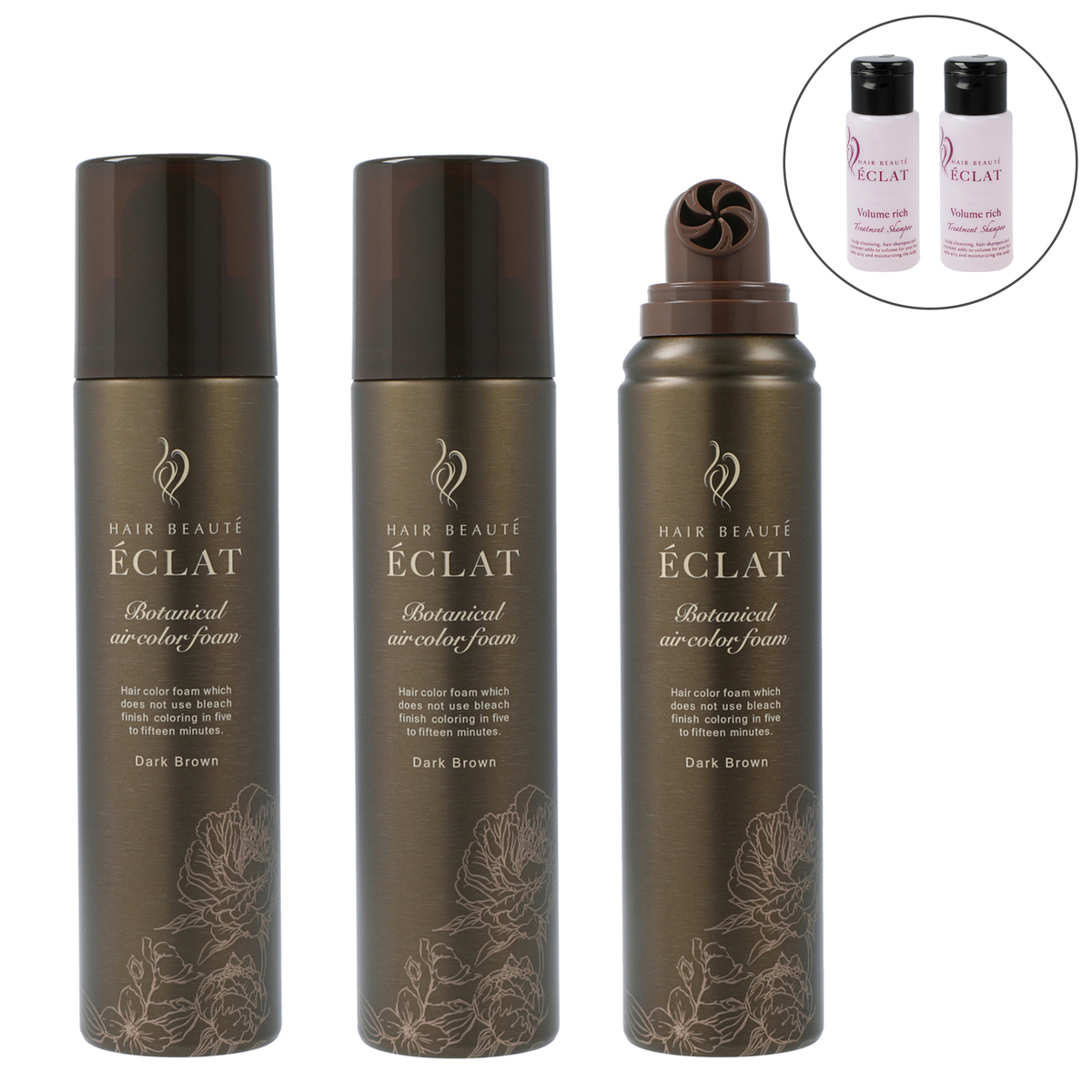 ヘアボーテエクラボタニカルエアカラーフォームup3本P付特別セット