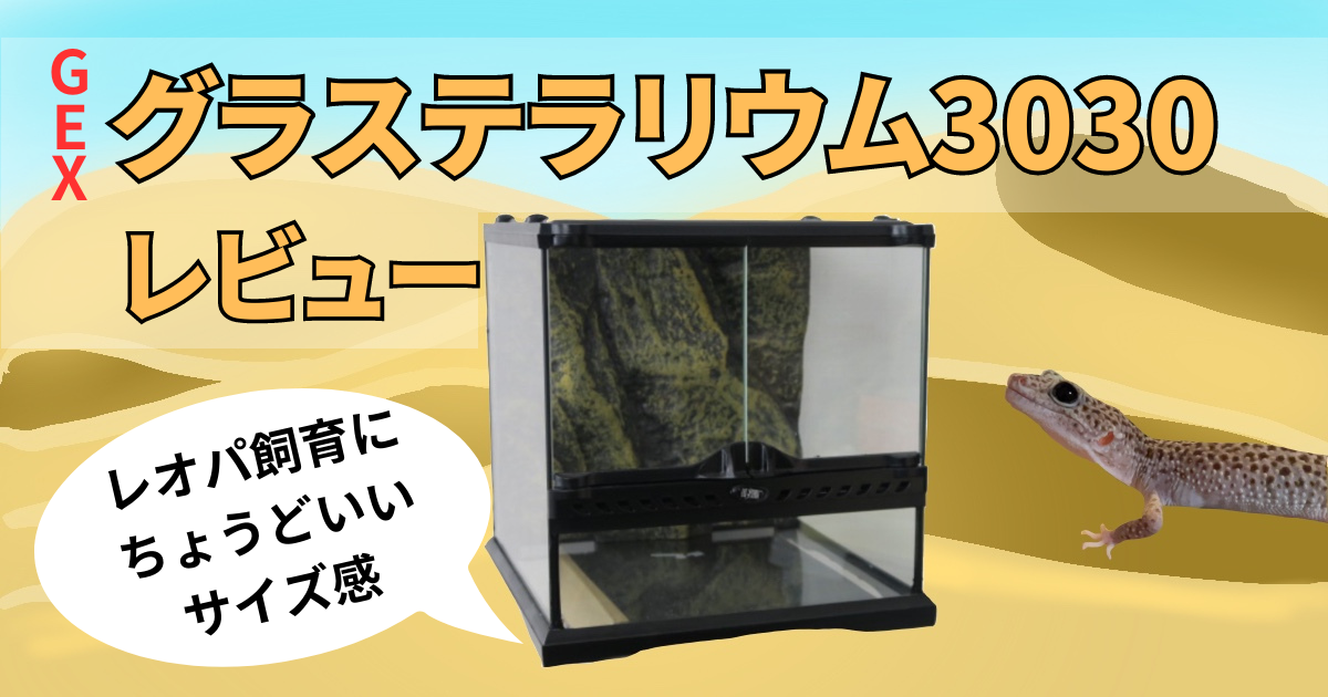 るなちゃんまん様用 グラステラリウム3030 爬虫類飼育セット レオパ る