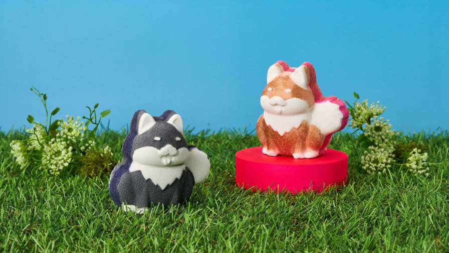 柴犬の可愛さが炸裂！はちみつのように甘く、陽だまりのように温かい