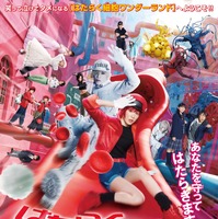 はたらく細胞』3日間で8.4億円超え！ 永野芽郁＆佐藤健の新場面写真