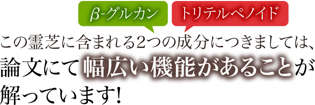 楊貴芝 (ようきし) « ミキモト化粧品西日本代理店 大木産業株式会社