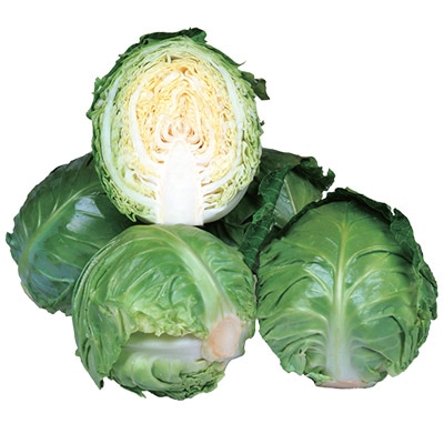 ミニキャベツ ミニックス40｜種（タネ）,球根,苗,資材,ガーデニング