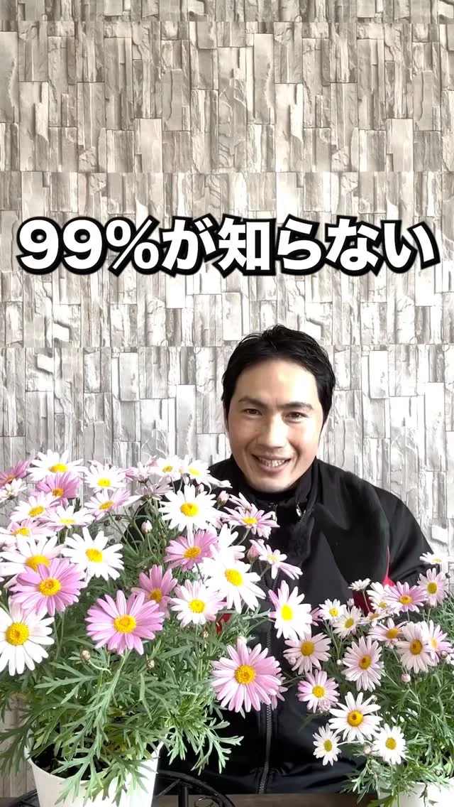 アオキ | 関戸園芸