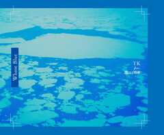 TK from 凛として時雨、シリアル・ナンバー付き2枚組アンビエントLP盤