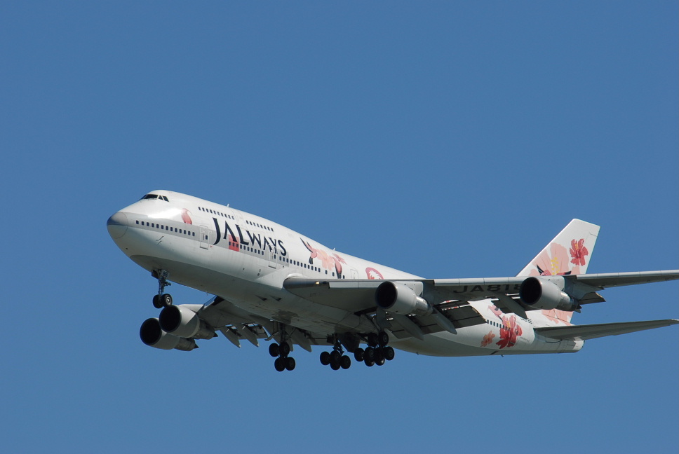 phoenix Boeing 747 JALリゾッチャ 1/300特別塗装貴重品 phoenix