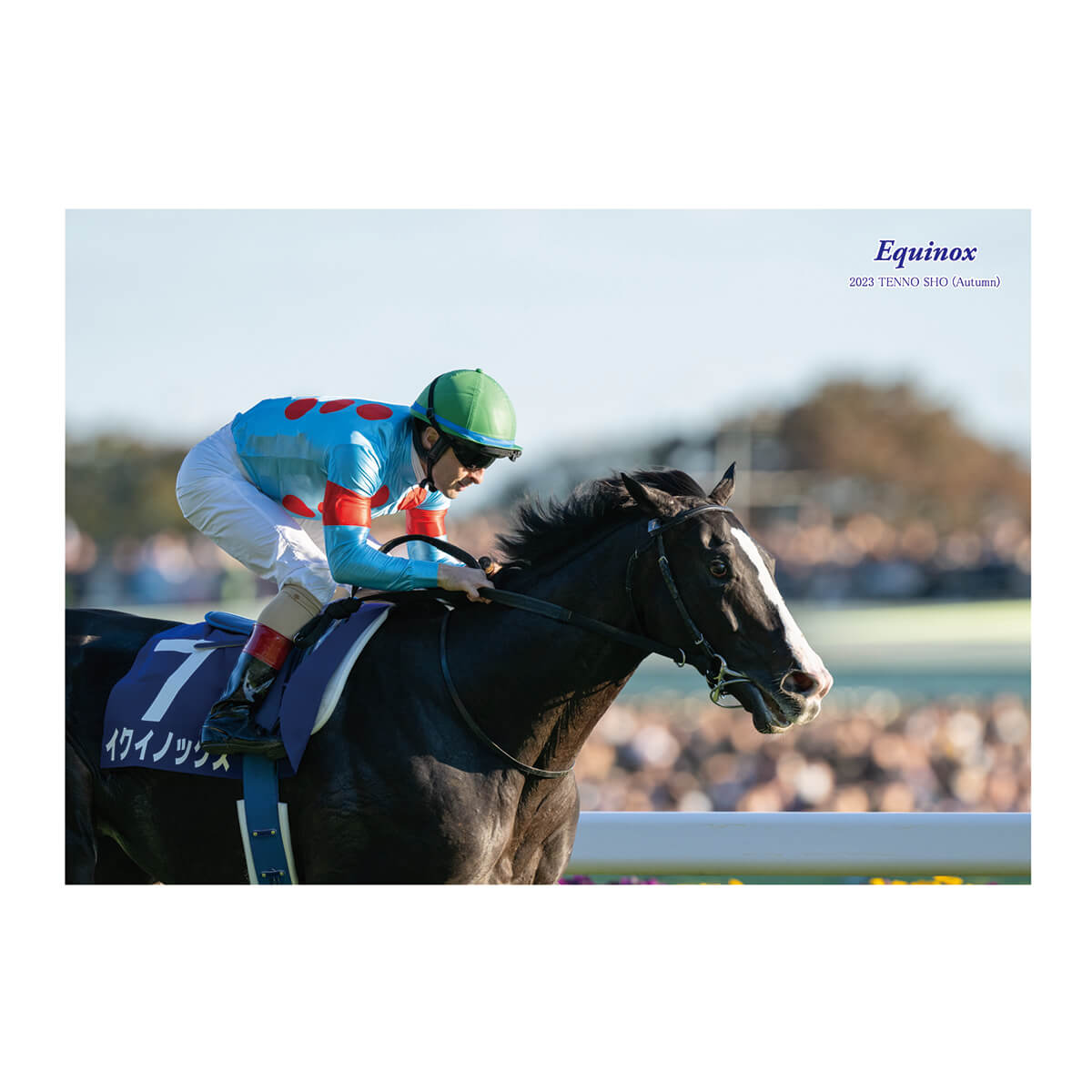 オリジナルポストカード イクイノックス 天皇賞(秋)2023 - 競馬グッズ