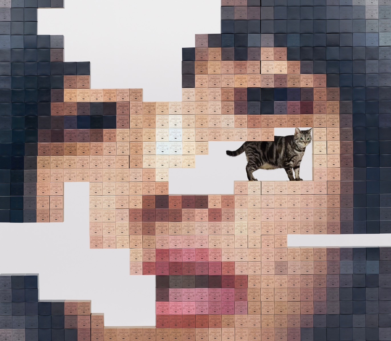 5thアルバム「猫にジェラシー」 9月11日(水) 発売決定！｜あいみょん