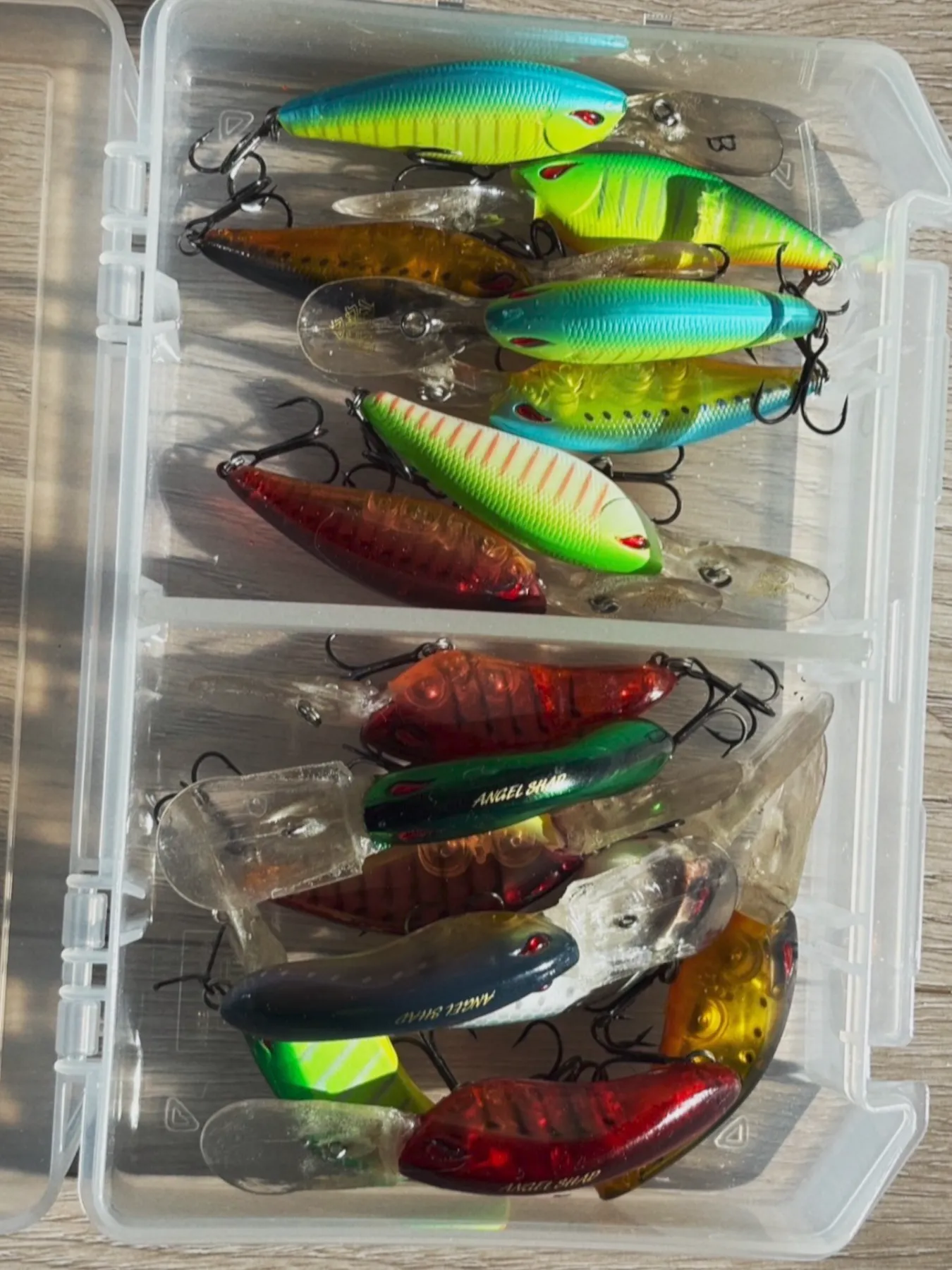 田辺哲男「雨天バス決行」：去年と同じ年にはしない。TIFA時代の