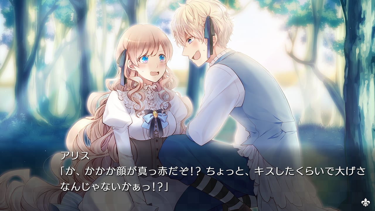 大正×対称アリス HEADS & TAILS | My Nintendo Store（マイ