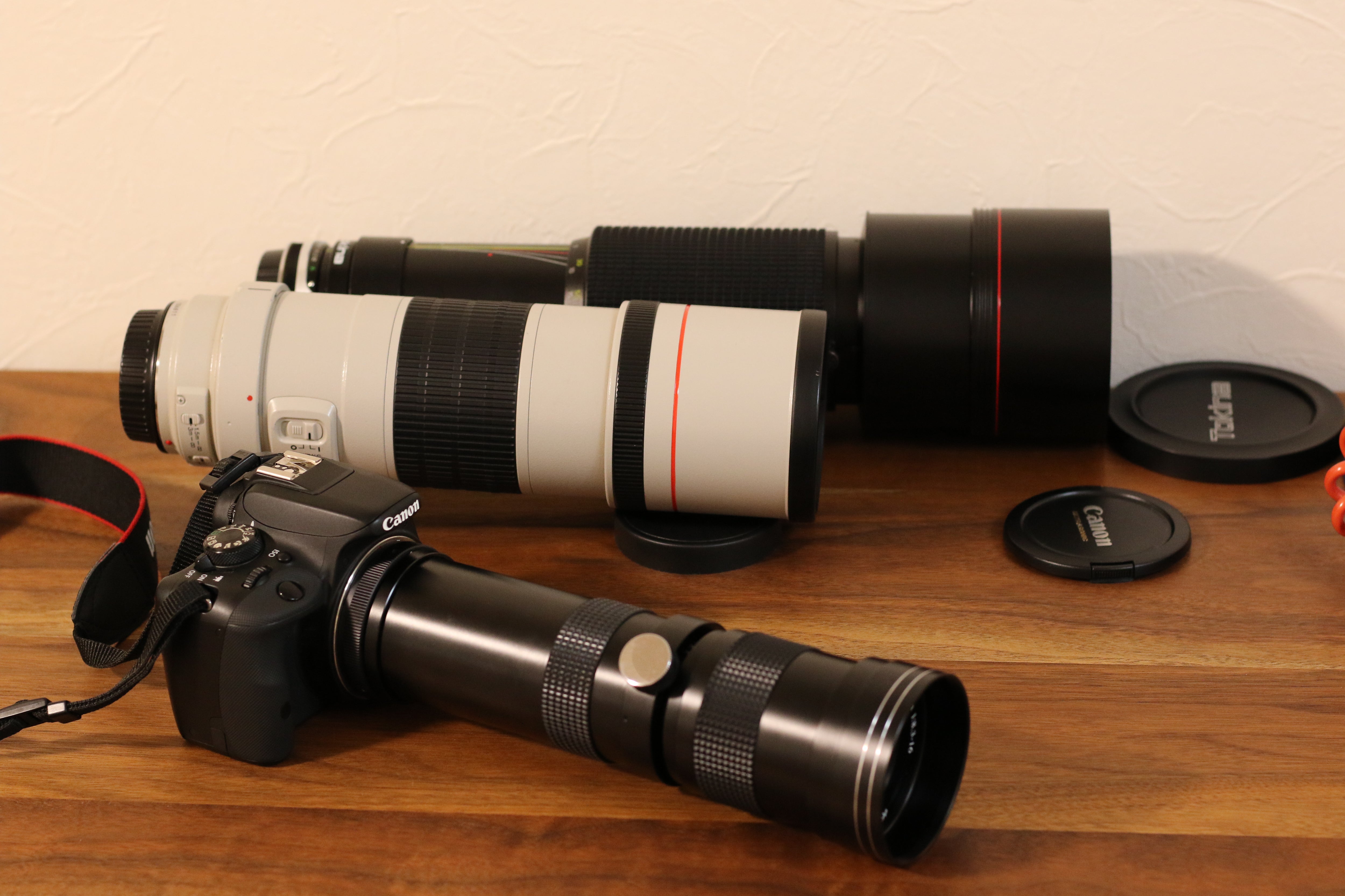 VARI 8000SA 420-800mm F8.3-16を使ってみた ～ ツグミ他 | Konchanの