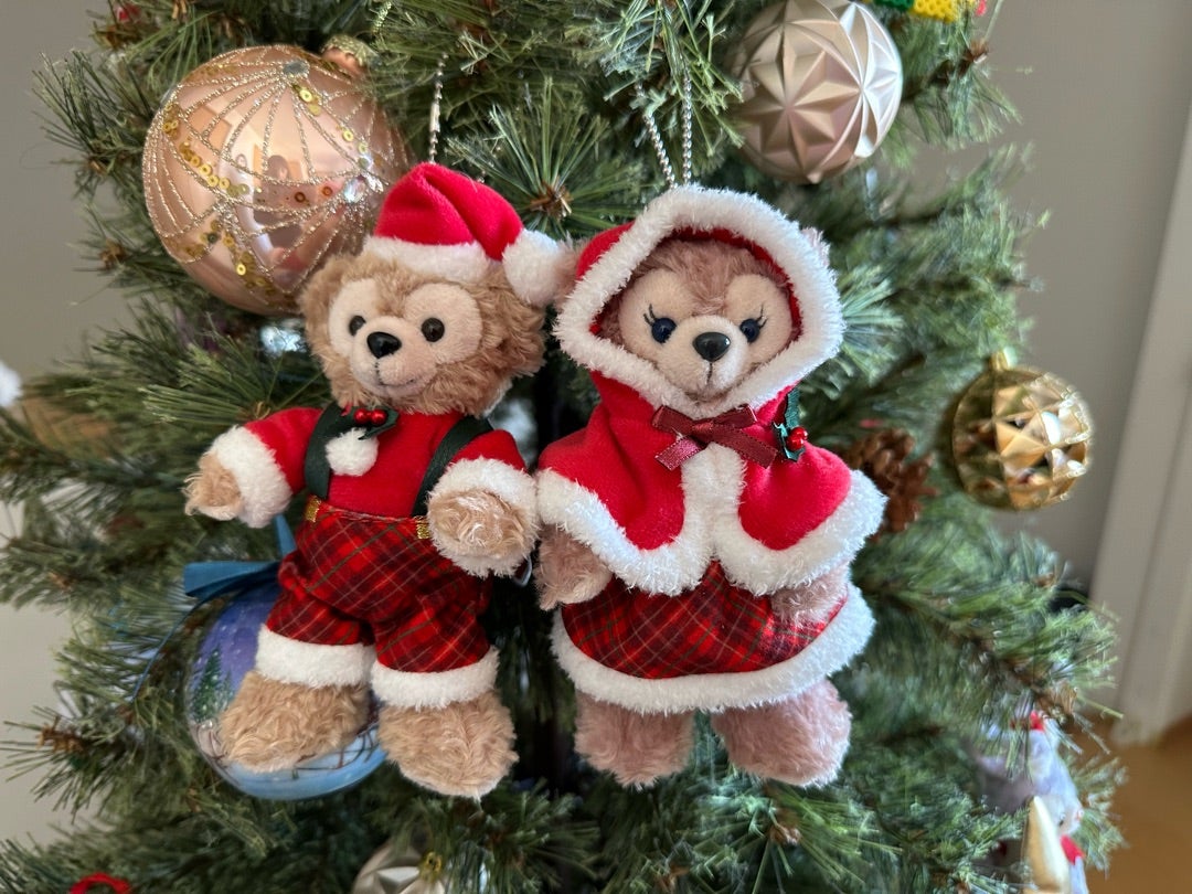 2024年11月ディズニー⑨初お迎えのMサイズリーナベル | 蒼のブログ