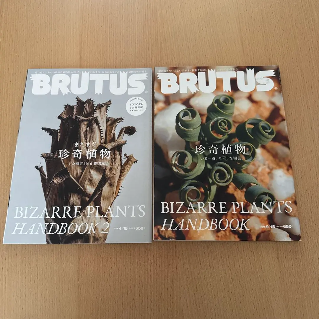 2026年最新】ティランジア・ハンドブックの人気アイテム - メルカリ