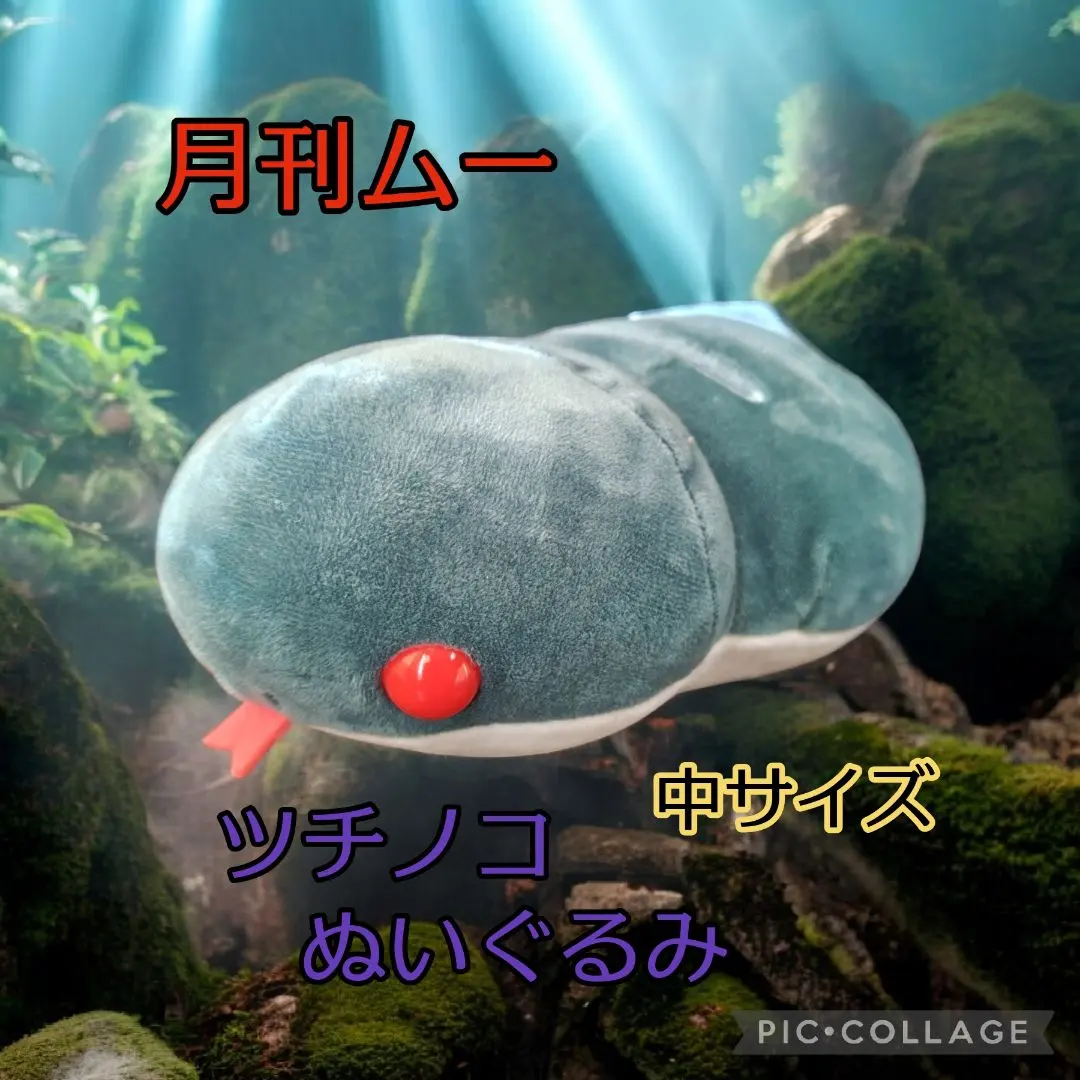 2026年最新】ツチノコ 月刊ムーの人気アイテム - メルカリ