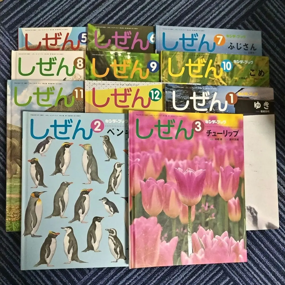 2026年最新】キンダーブックしぜん きょうりゅうの人気アイテム - メルカリ