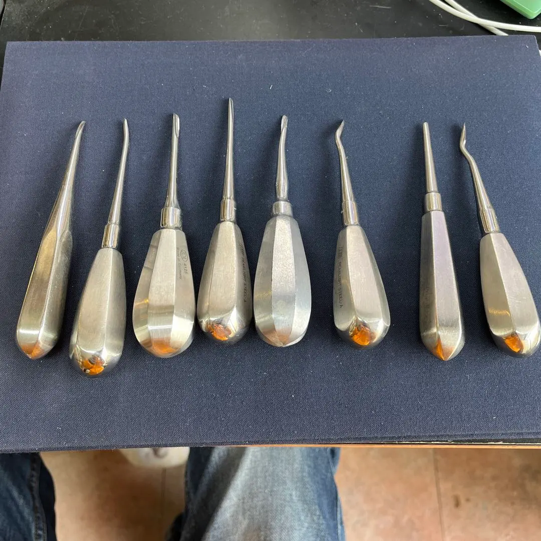 2026年最新】ヘーベル 歯科の人気アイテム - メルカリ