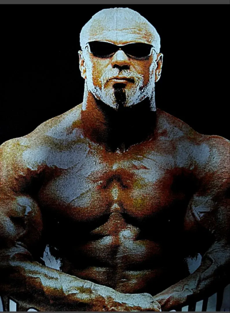 2026年最新】スコット・スタイナーの人気アイテム - メルカリ