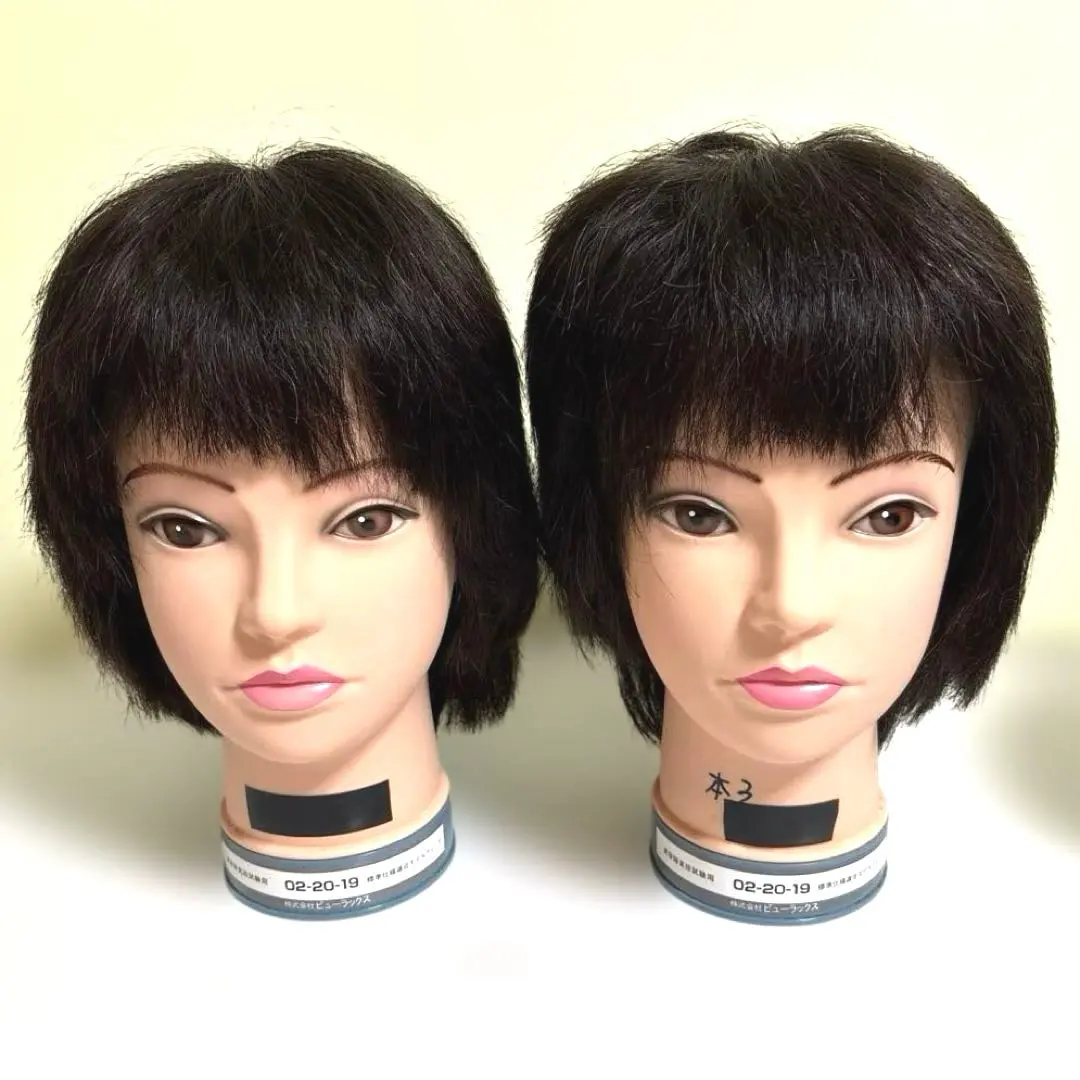 2026年最新】国家試験 カットウィッグ ビューラックスの人気アイテム