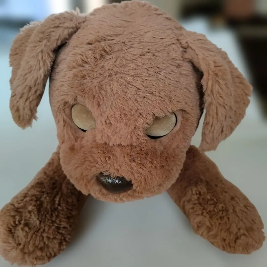 2026年最新】タカラトミー ダッキーの人気アイテム - メルカリ