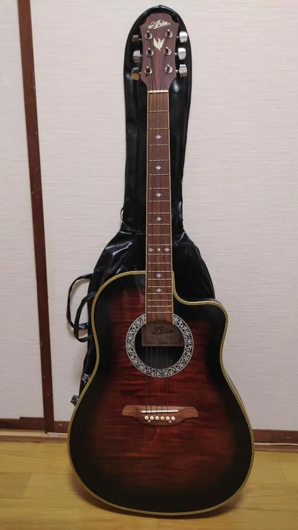 2026年最新】ARIA AMB-35の人気アイテム - メルカリ